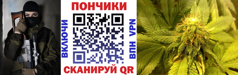 цены   Закаменск  hydra tor  Канабис план 